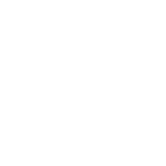 Logo VFL Wolfsburg in Weiß