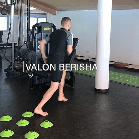 alinus Referenz Valon Berisha